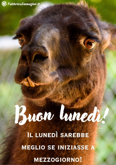 Il lunedì sarebbe meglio se iniziasse a mezzogiorno!