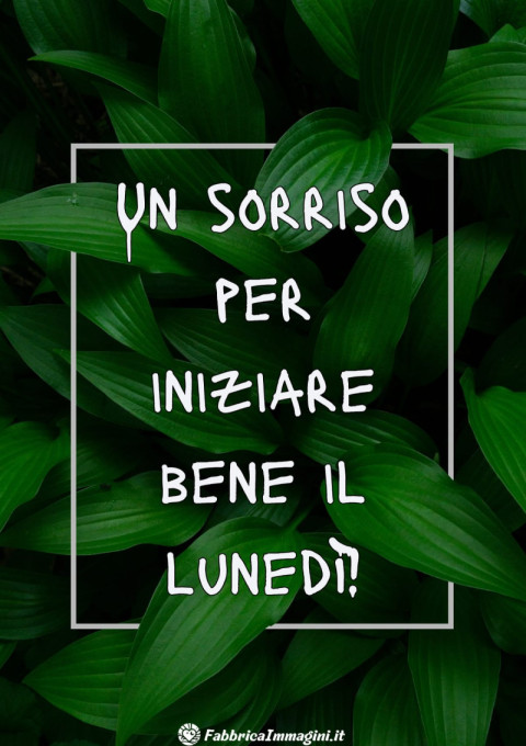 Un sorriso per iniziare bene il lunedì!