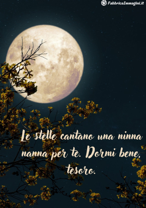 Le stelle cantano una ninna nanna per te Dormi bene, tesoro