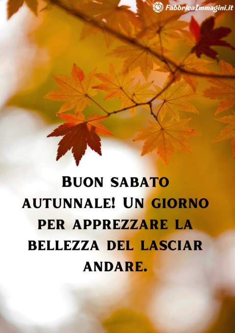 Buon sabato autunnale! Un giorno per apprezzare la bellezza del lasciar andare
