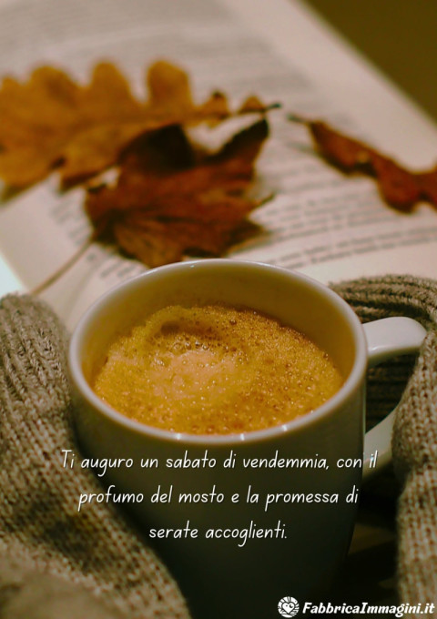 Ti auguro un sabato di vendemmia, con il profumo del mosto e la promessa di serate accoglienti