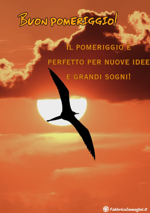 Il pomeriggio è perfetto per nuove idee e grandi sogni!