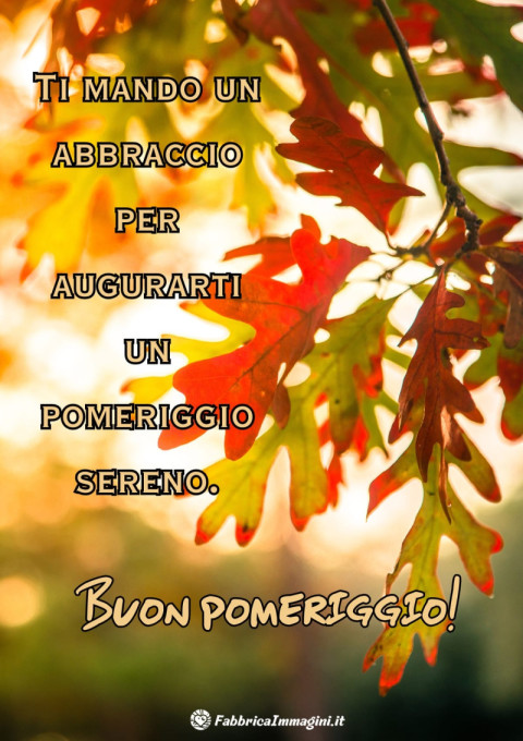 Ti mando un abbraccio per augurarti un pomeriggio sereno