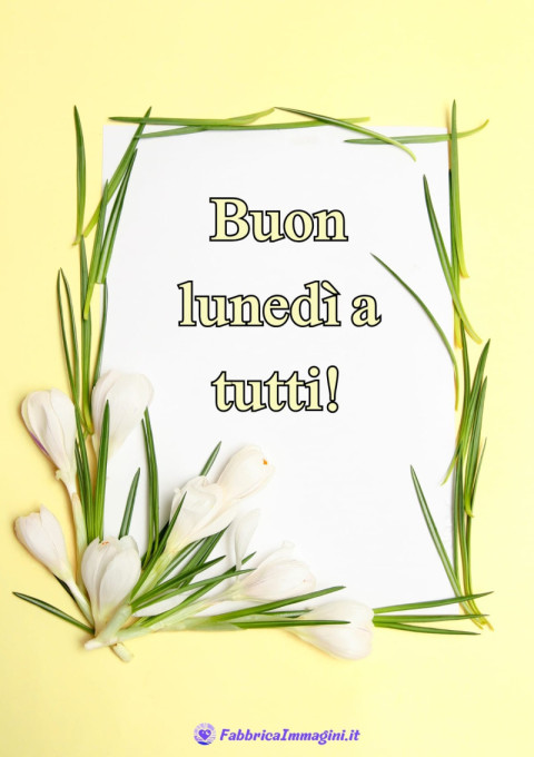 Buon lunedì a tutti!