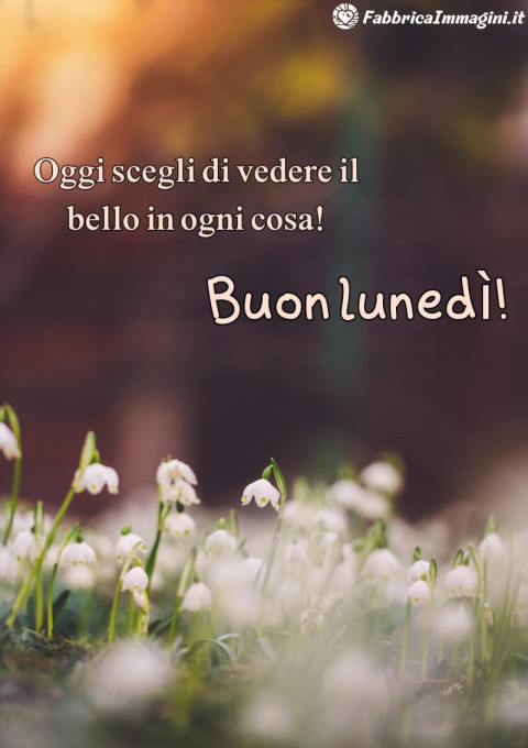 Buon lunedì! Oggi scegli di vedere il bello in ogni cosa!