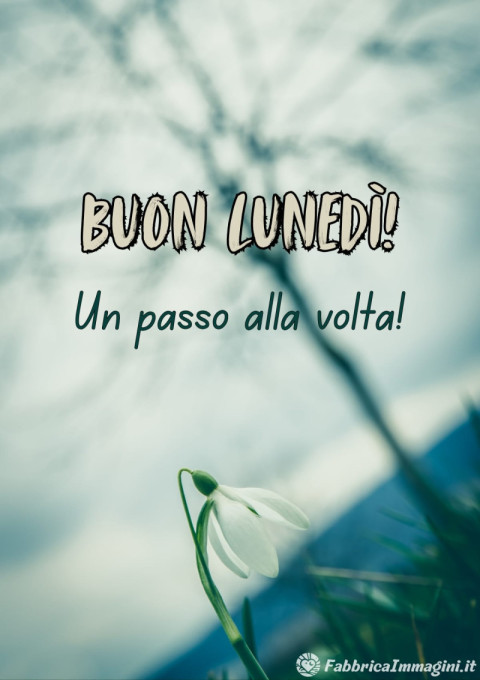 Buon lunedì! Un passo alla volta!