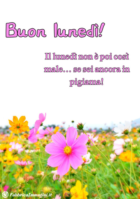 Il lunedì non è poi così male se sei ancora in pigiama!