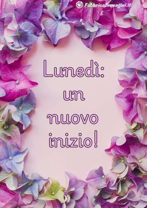 Lunedì un nuovo inizio!