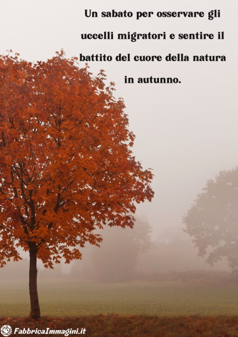Un sabato per osservare gli uccelli migratori e sentire il battito del cuore della natura in autunno