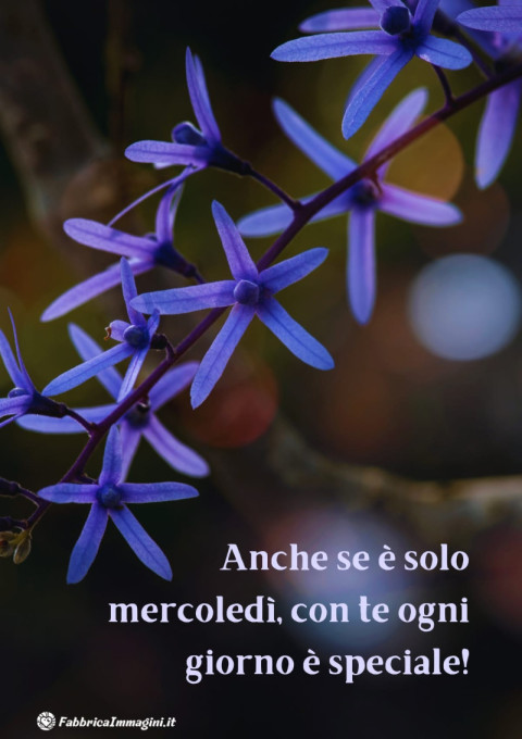 Anche se è solo mercoledì, con te ogni giorno è speciale!