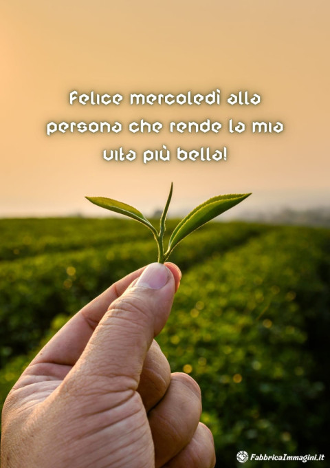 Felice mercoledì alla persona che rende la mia vita più bella!