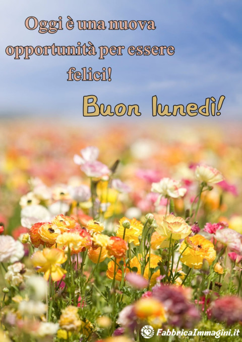 Buon lunedì! Oggi è una nuova opportunità per essere felici!