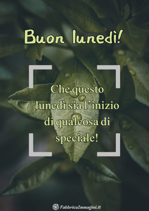 Che questo lunedì sia l’inizio di qualcosa di speciale!