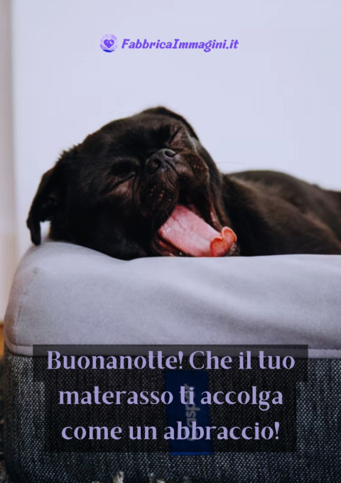 Buonanotte! Che il tuo materasso ti accolga come un abbraccio!