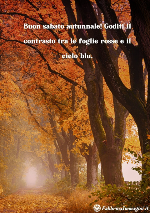 Buon sabato autunnale! Goditi il contrasto tra le foglie rosse e il cielo blu