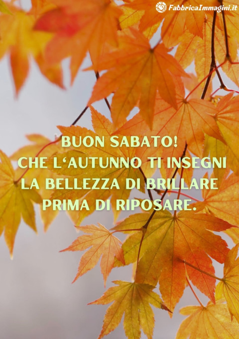 Buon sabato! Che l'autunno ti insegni la bellezza di brillare prima di riposare