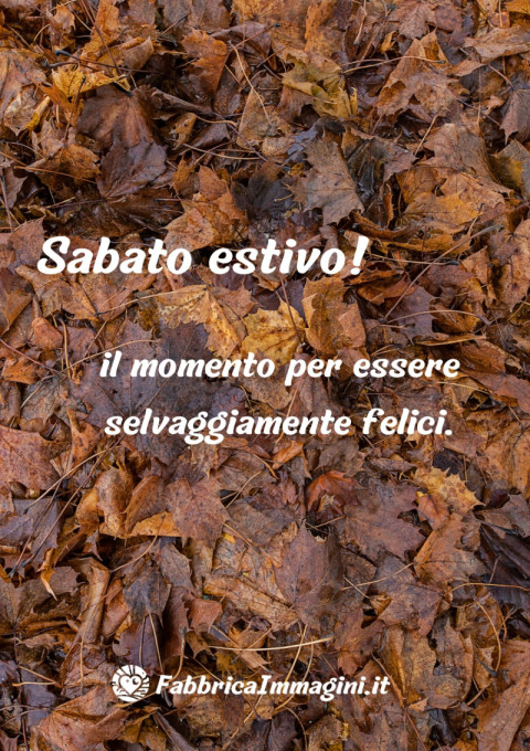 Sabato estivo il momento per essere selvaggiamente felici