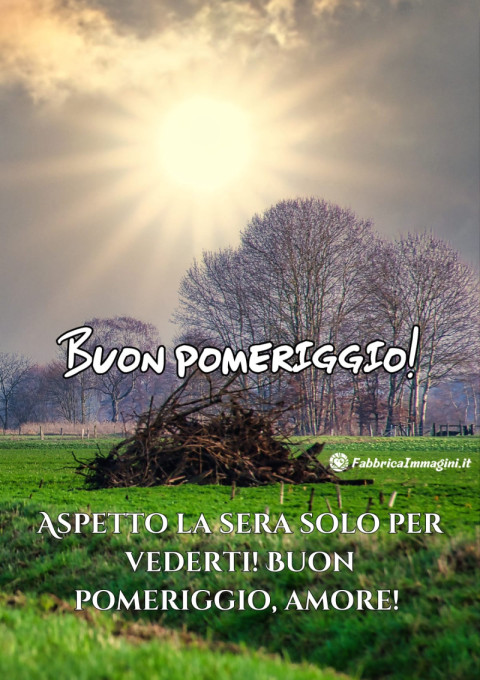 Aspetto la sera solo per vederti! Buon pomeriggio, amore!