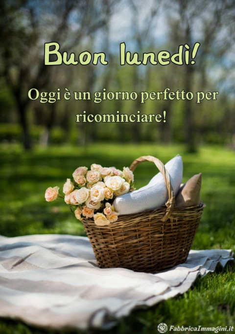 Buon lunedì! Oggi è un giorno perfetto per ricominciare!