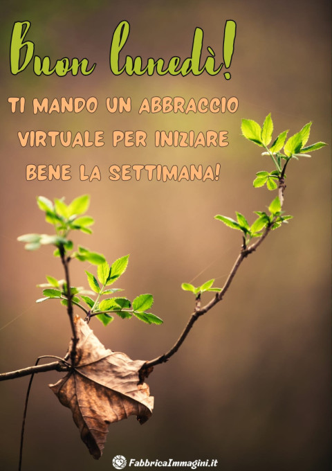 Buon lunedì! Ti mando un abbraccio virtuale per iniziare bene la settimana!