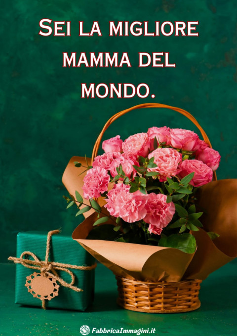 Sei la migliore mamma del mondo