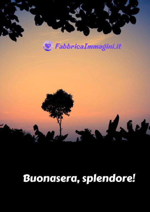 Buonasera, splendore!