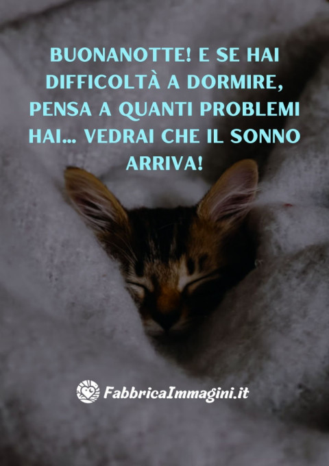 Buonanotte! E se hai difficoltà a dormire, pensa a quanti problemi hai… vedrai che il sonno arriva!