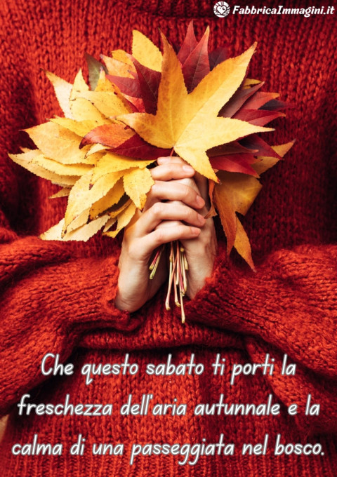 Che questo sabato ti porti la freschezza dell'aria autunnale e la calma di una passeggiata nel bosco