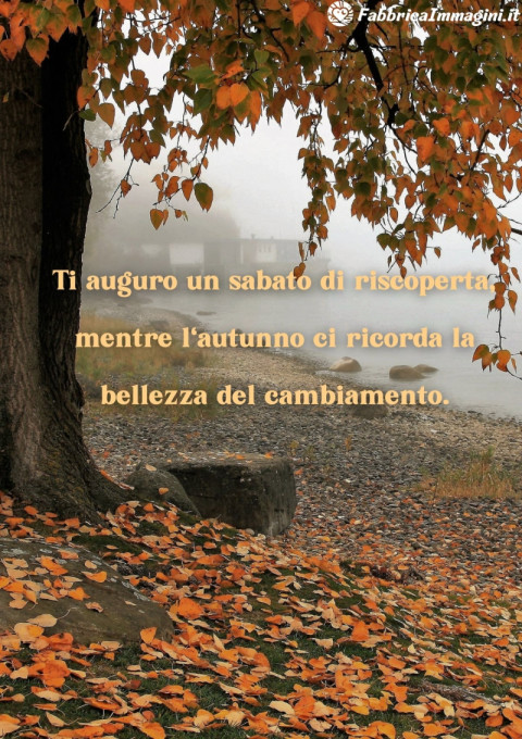 Ti auguro un sabato di riscoperta, mentre l'autunno ci ricorda la bellezza del cambiamento
