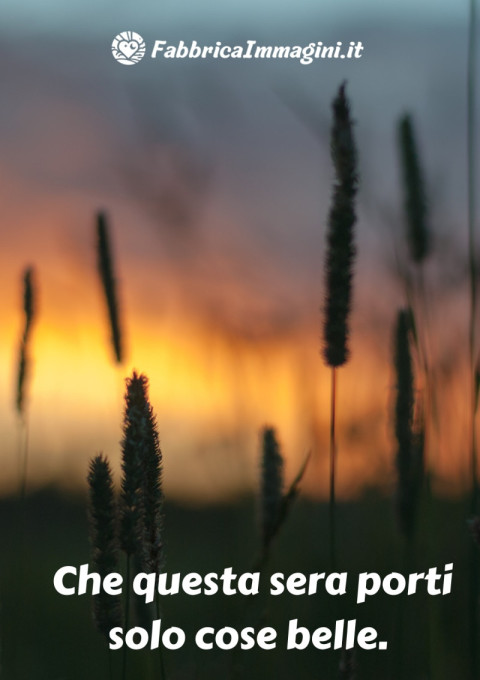 Che questa sera porti solo cose belle