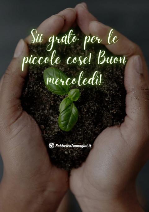 Sii grato per le piccole cose! Buon mercoledì!
