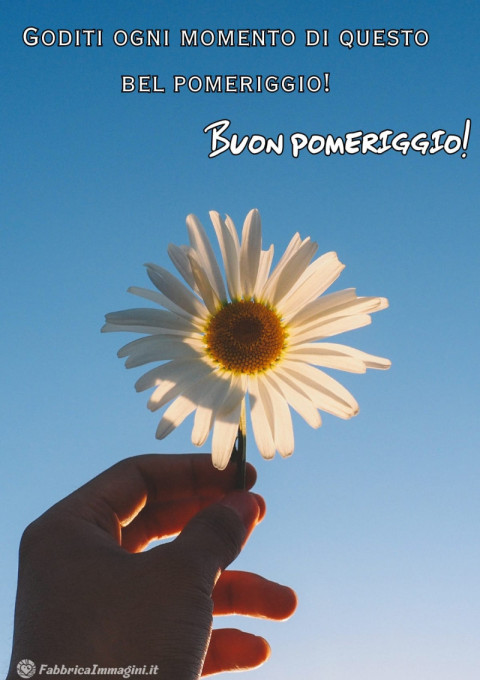Goditi ogni momento di questo bel pomeriggio!