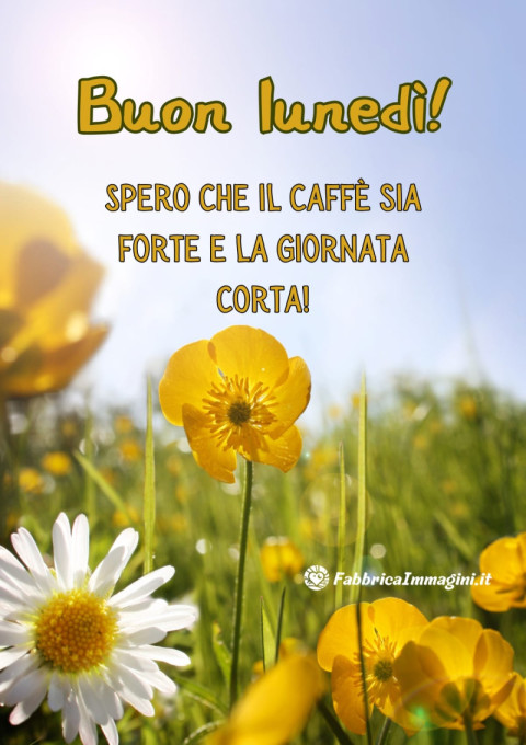 Buon lunedì! Spero che il caffè sia forte e la giornata corta!