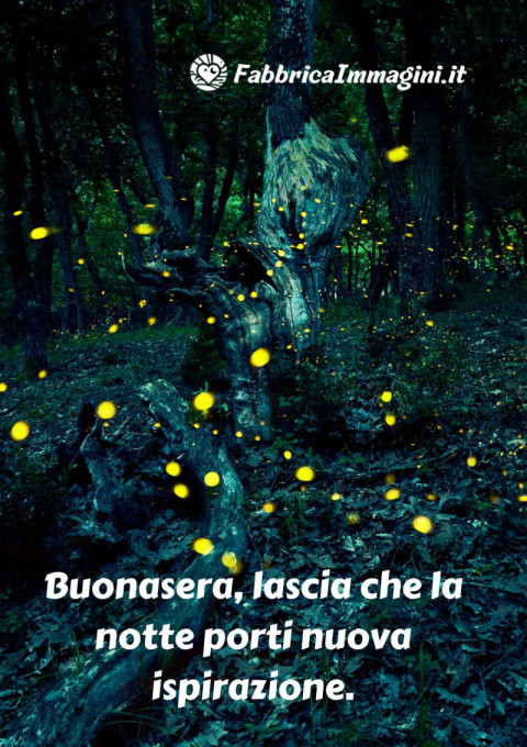 Buonasera, lascia che la notte porti nuova ispirazione