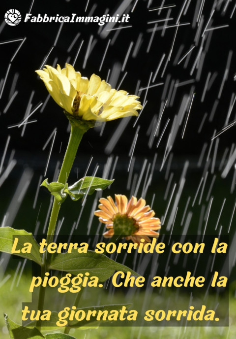 La terra sorride con la pioggia Che anche la tua giornata sorrida