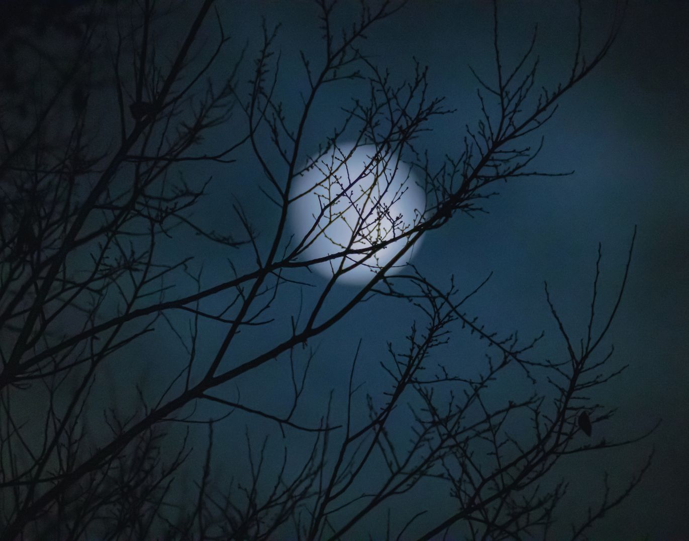 Divertenti Nuovissimo Buonanotte Immagini Recenti Gratis per WhatsApp category thumbnail