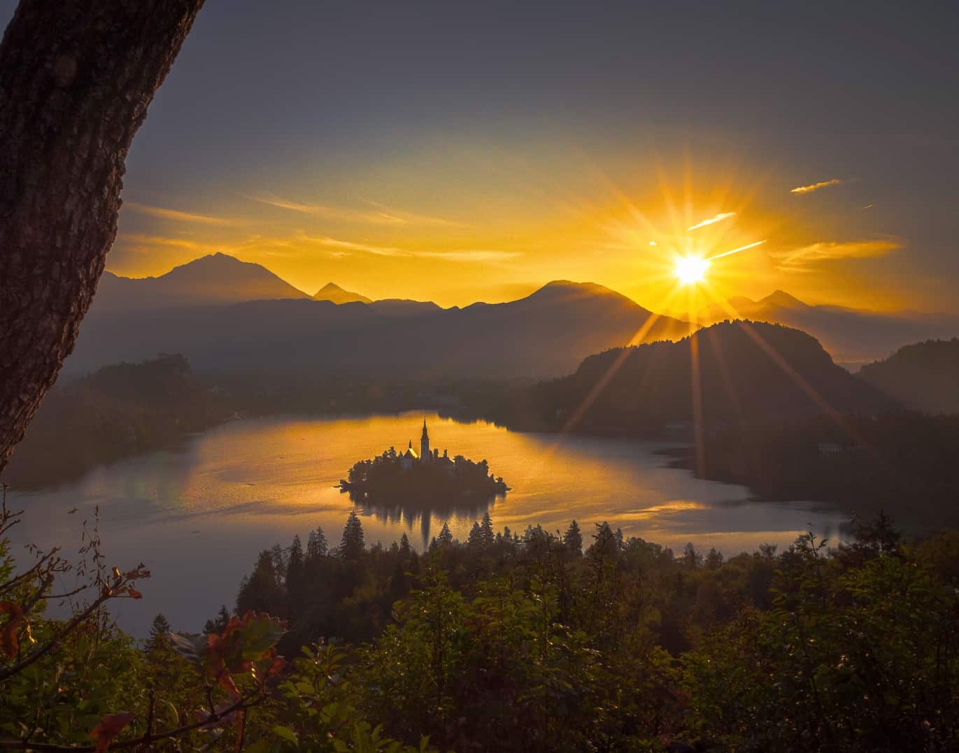 Le Fate del Sole Buonanotte Immagini Nuove Gratis per WhatsApp category thumbnail