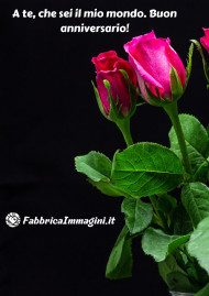 User Image 1