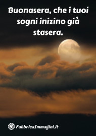User Image 1