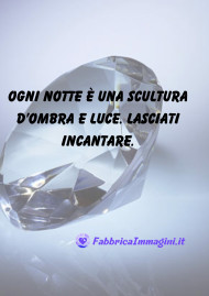 User Image 1